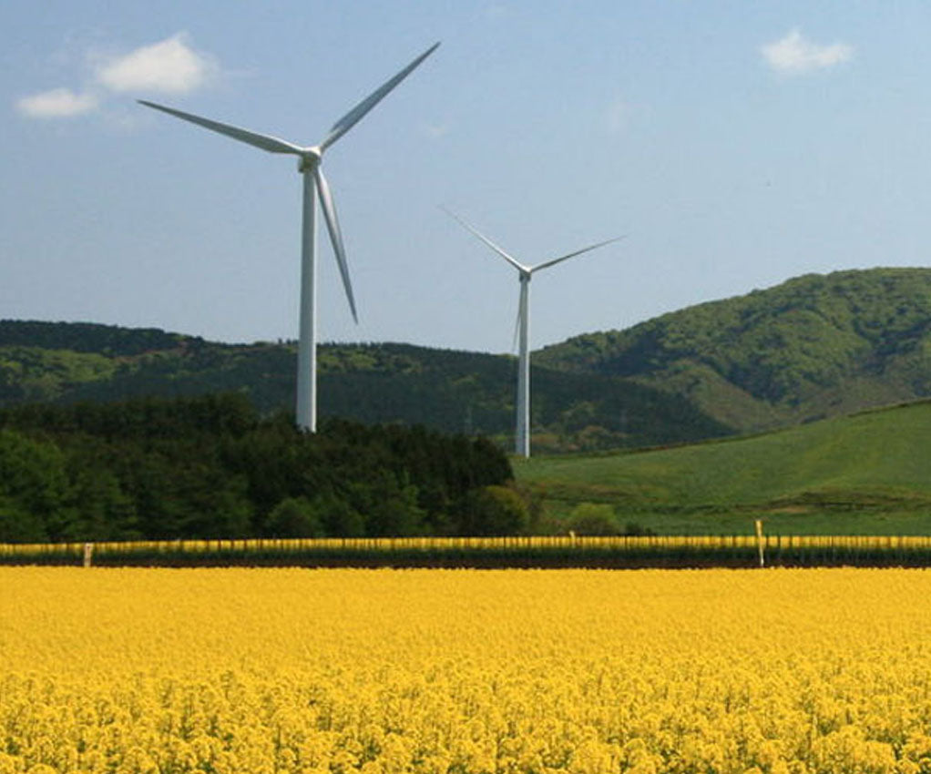 Canola Oil used for wetsuits